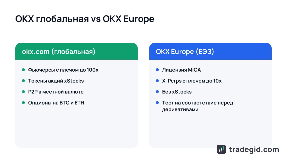 Сравнение глобальной биржи OKX и OKX Europe: плечо, xStocks, P2P и лицензия MiCA