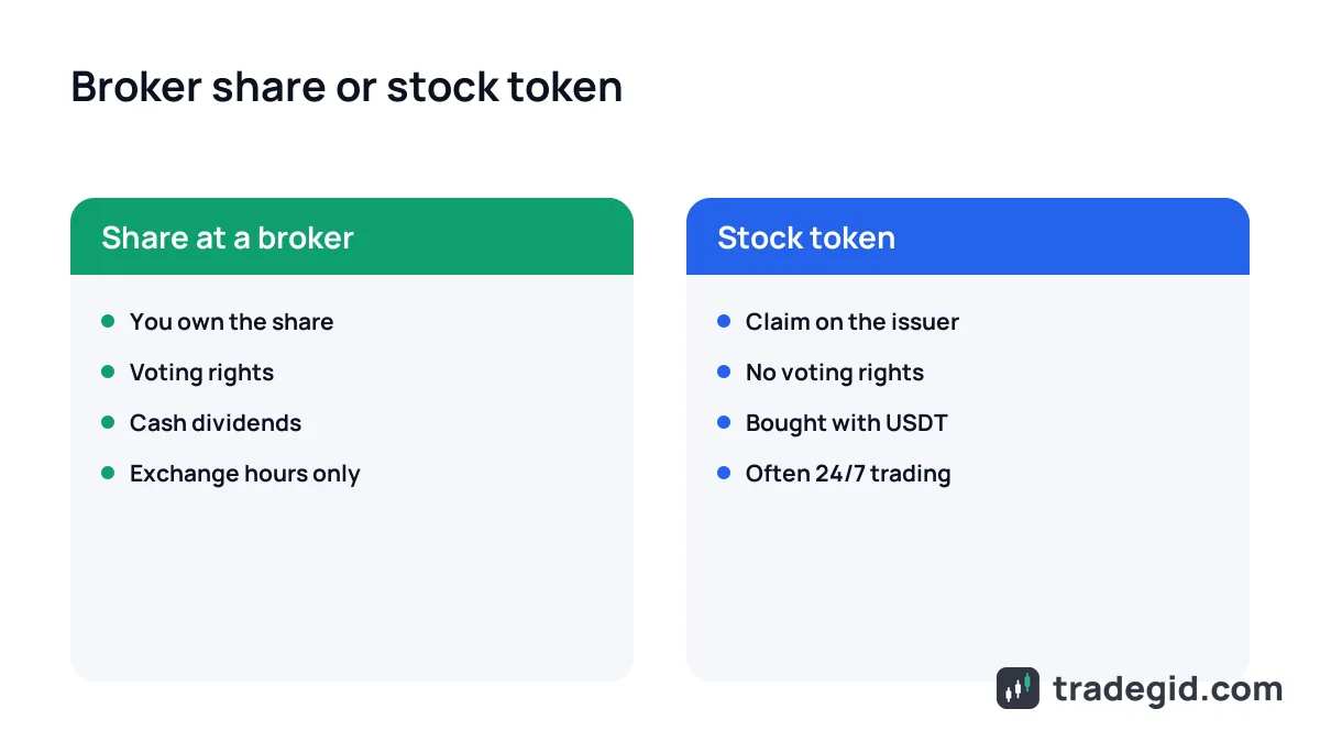 Tokenized stocks vs broker shares compared: ownership, dividends, trading hours and risks