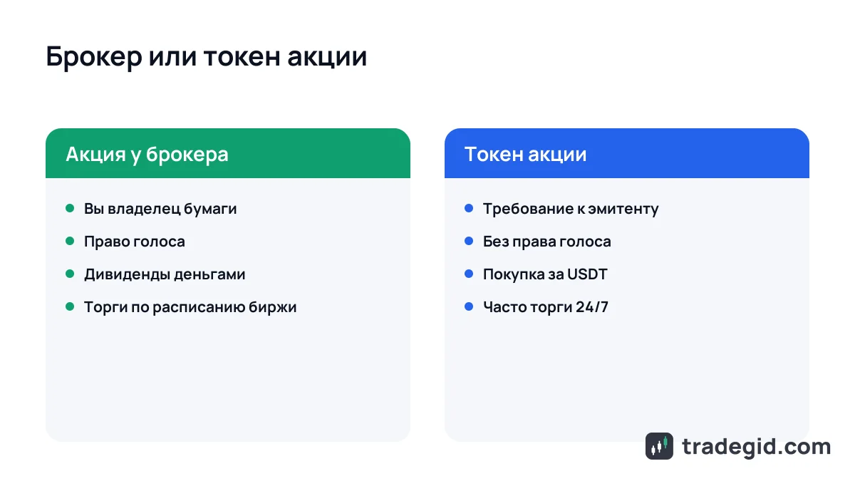 Сравнение токенизированных акций и акций у брокера: владение, дивиденды, часы торгов и риски