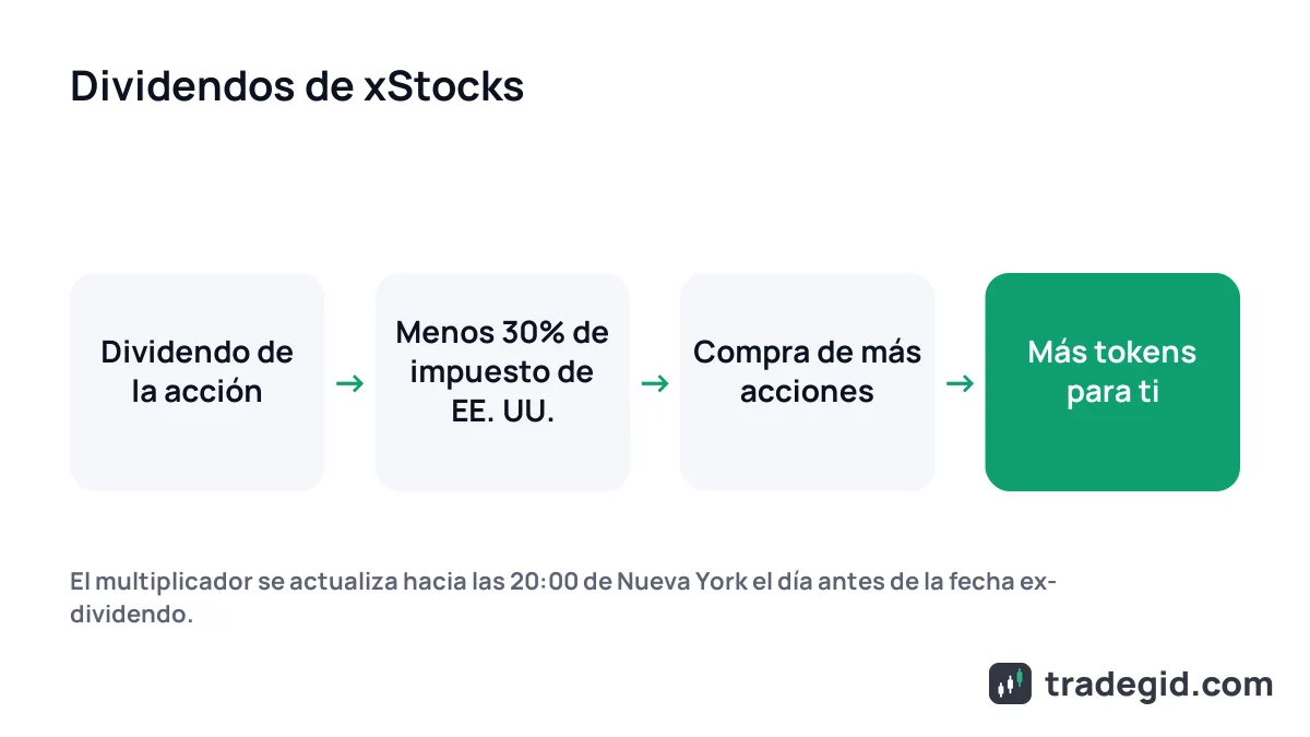 Cómo funcionan los dividendos de los xStocks: el dividendo menos el 30% de impuesto se reinvierte y crece el saldo de tokens