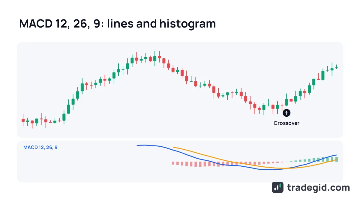 MACD indicator below a candlestick chart: the MACD line crosses above the signal line and the histogram turns positive